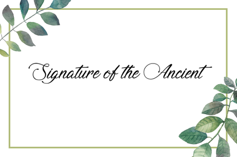 Signature of the Ancient Script Font - Best New Romantic Script Fonts 2-01