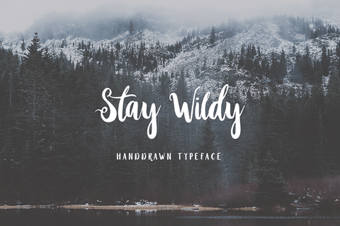 Stay Wildy Handdrawn Font - Best New Romantic Script Fonts