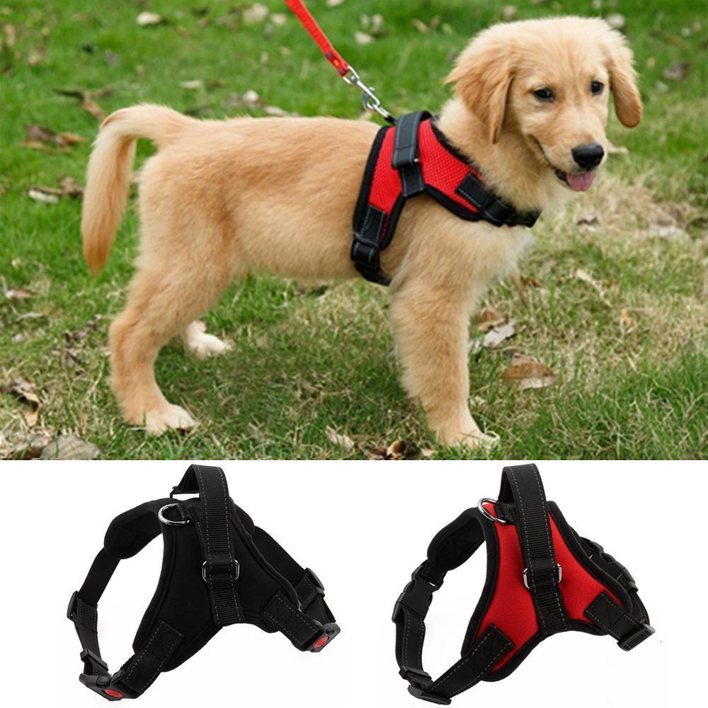 no pull dog harness for large dogs