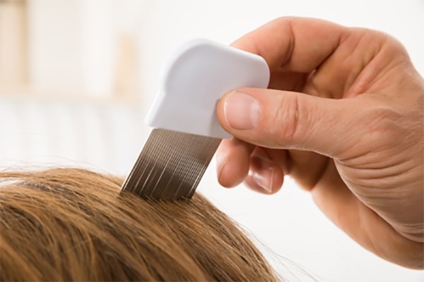 What Do Lice Look Like In Blonde Hair And Ways To Remove Them