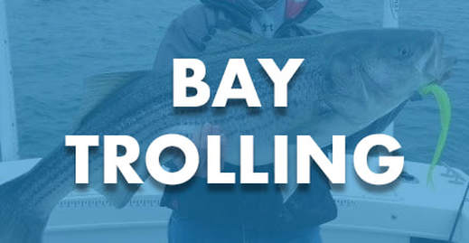 Bay Trolling Rods - Shore Tackle and Custom Rods