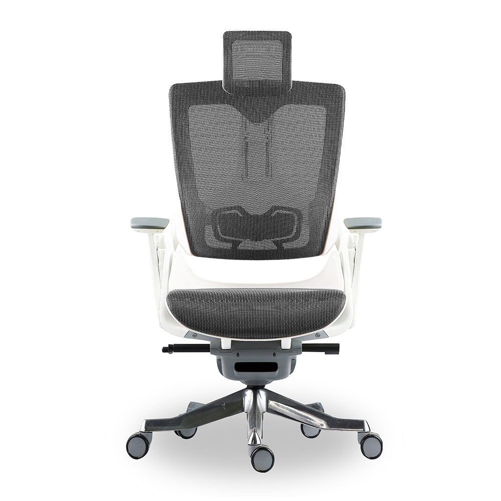 ergonomic mesh task chair