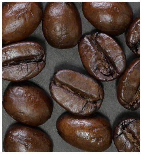 Fresh Roasted Coffee Beans Supplier in the Philippines by Coffeellera