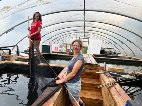 Amanda and our placement student seine netting one of the growing on ponds at Adam Byer Koi Farm