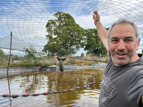 Harvesting fry pond 3