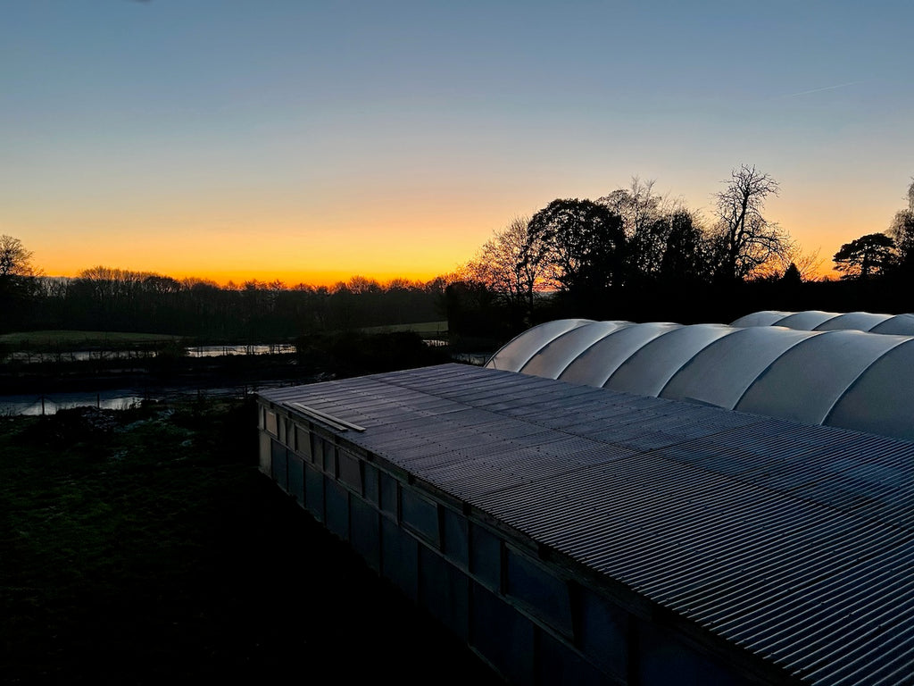 Sunset at Byer Koi Farm