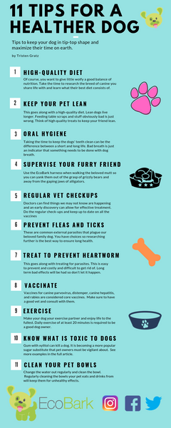 EcoBark 11 tips for a healthier dog