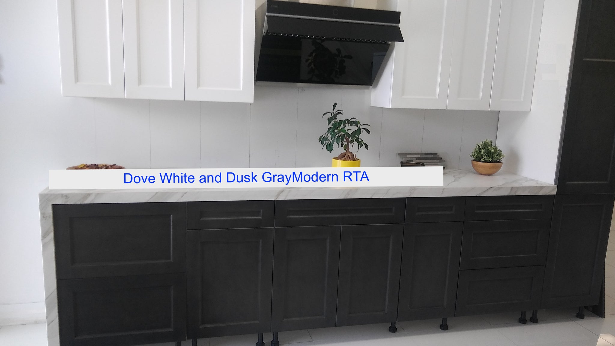 Frameless Shaker Style Rta Cabinets Cabinet Sales Center