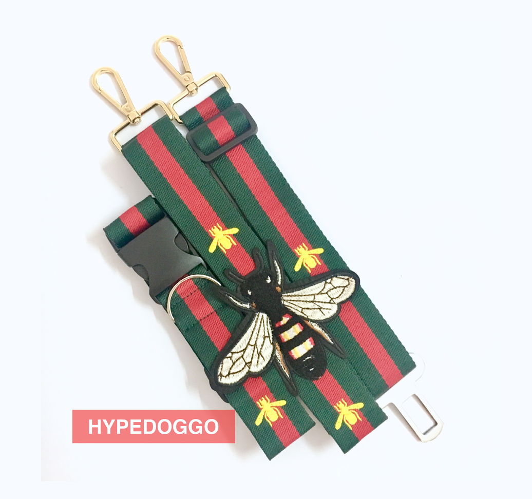 gucci dog collar and lead