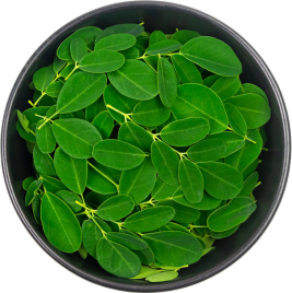 Moringa Oil