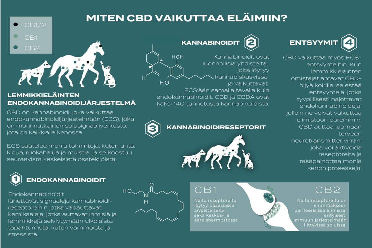 cbd öjy eläimille