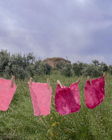 Naturally dyed fabric in shades of pink and magenta hanging to dry in Palestinian fields