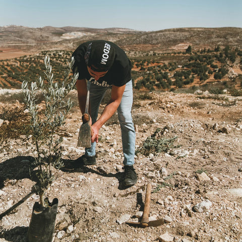 A man bend over a branch in the Palestinian landscape