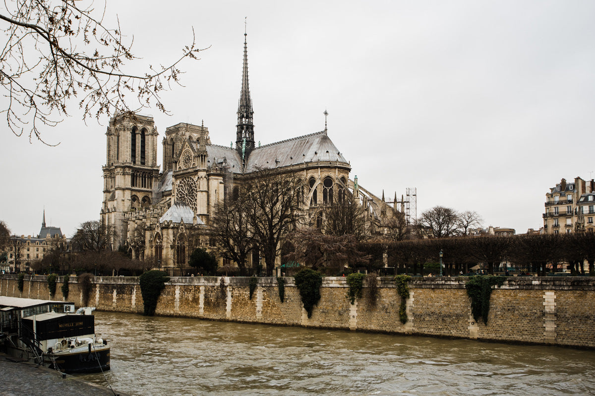 Catedral de Notre Dame, París.