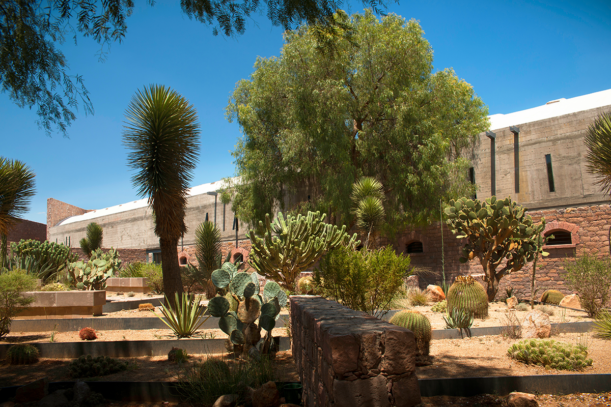 Centro de las Artes de San Luis / Photo: Jaime Navarros