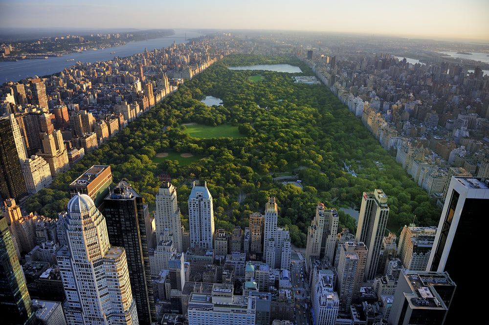 Central Park, Nueva York (Foto: Shutterstock)