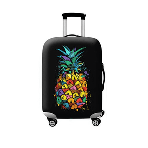 pineapple carry on luggage