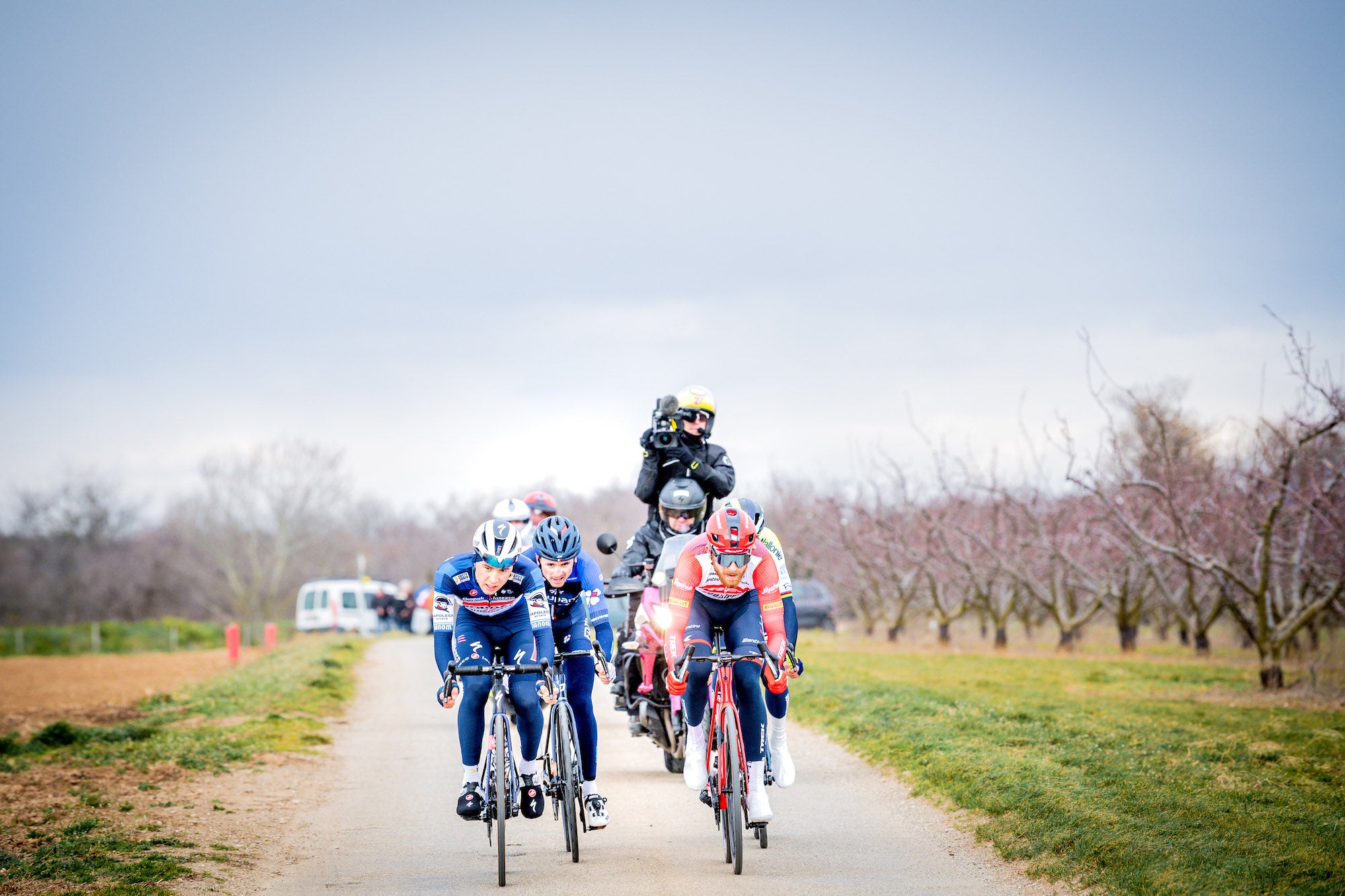 Men's peloton racing through France 