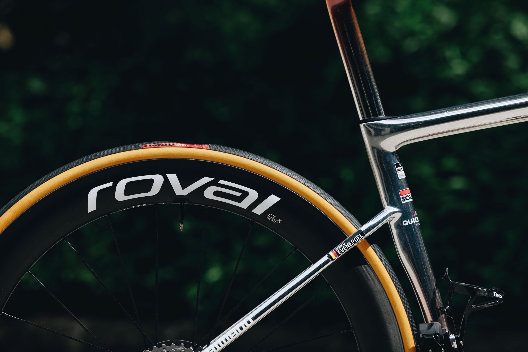 Remco Evenepoel's S-Works Tarmac SL8 rear triangle