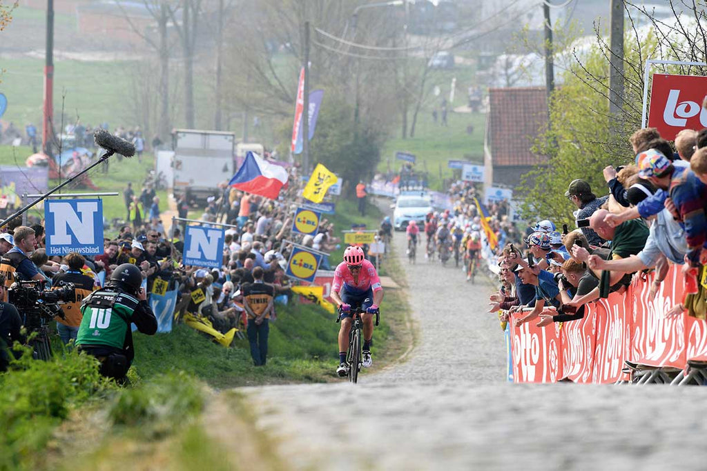 tour of flanders predictions 2023