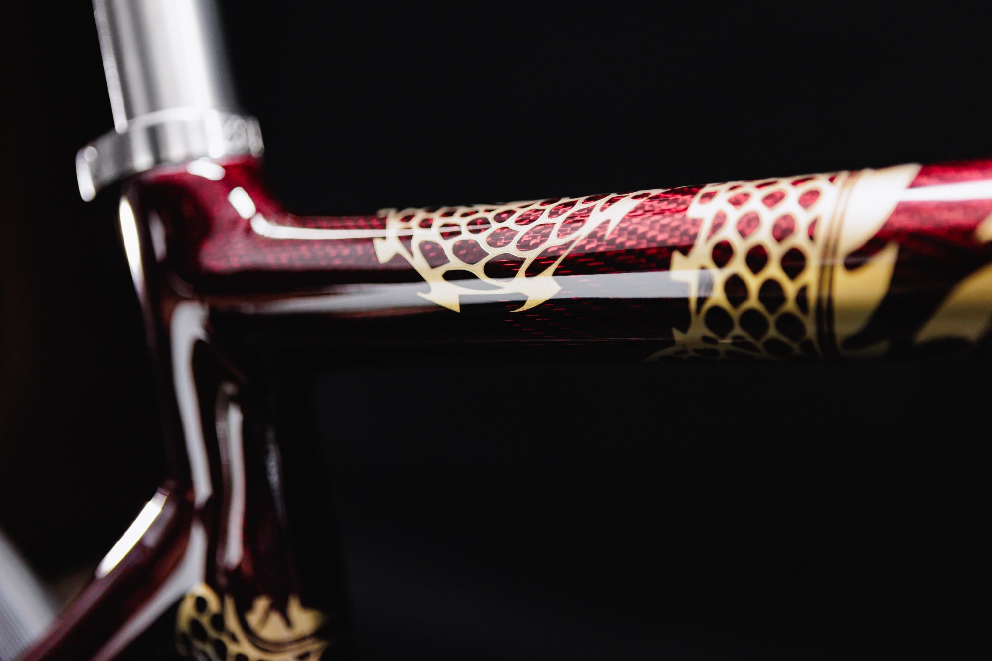 Passoni Year of the Dragon top tube detail