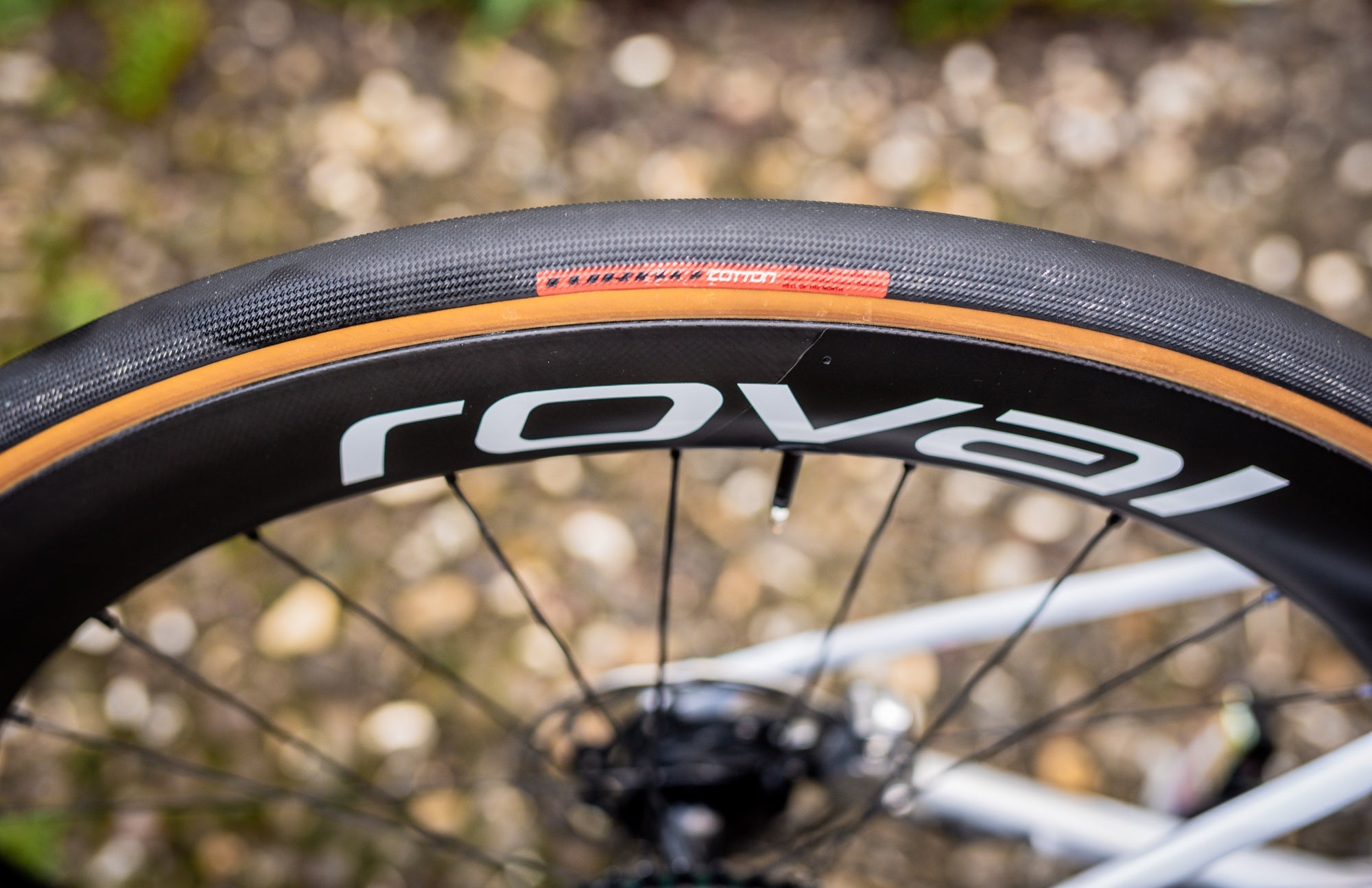 Lotte Kopecky's Royal CLX II wheel with Turbo Cotton tyre