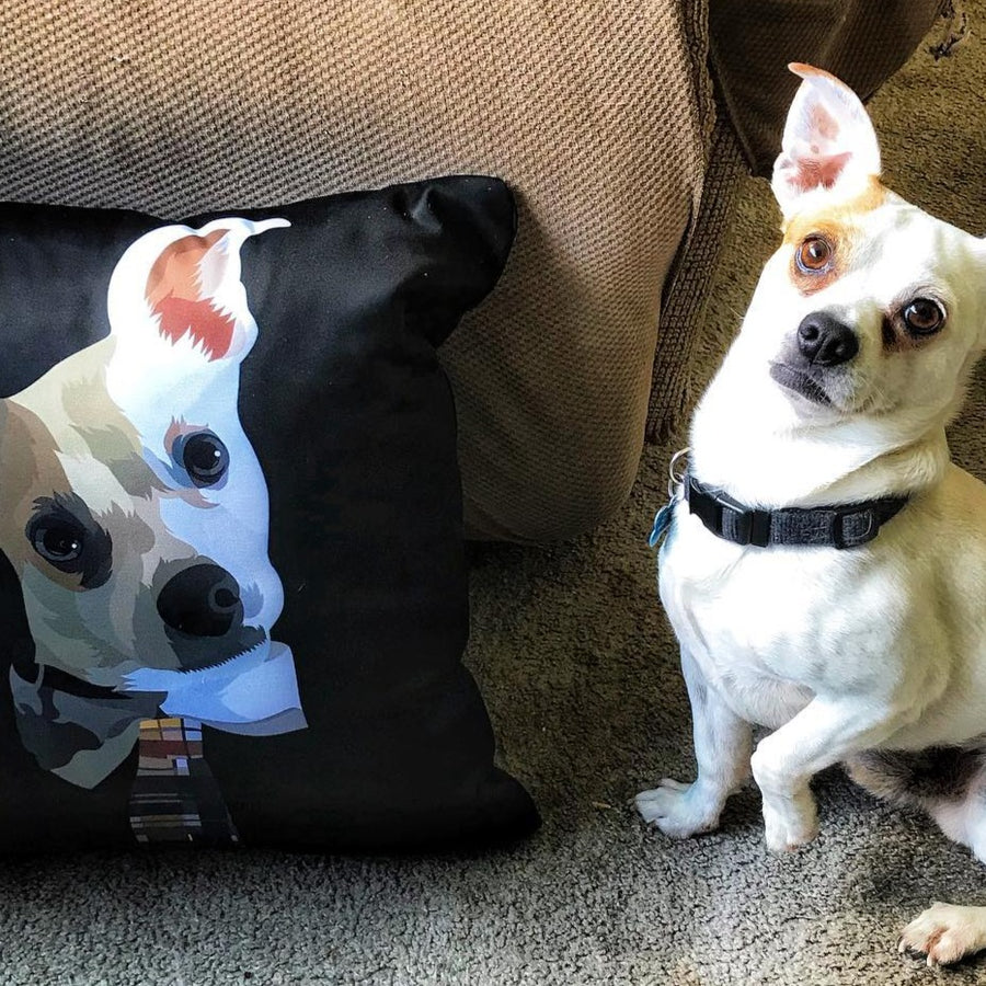 Custom Pet Print Couch Pillow | Printy Pets
