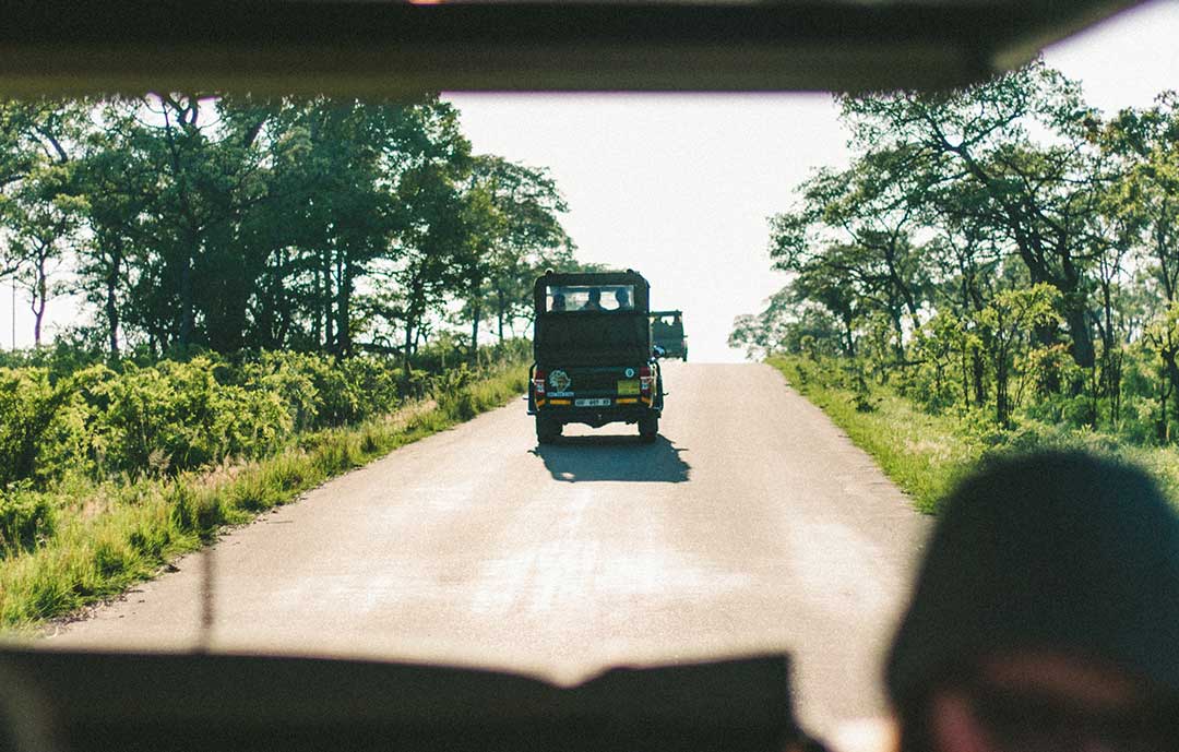 Kruger National park from a car