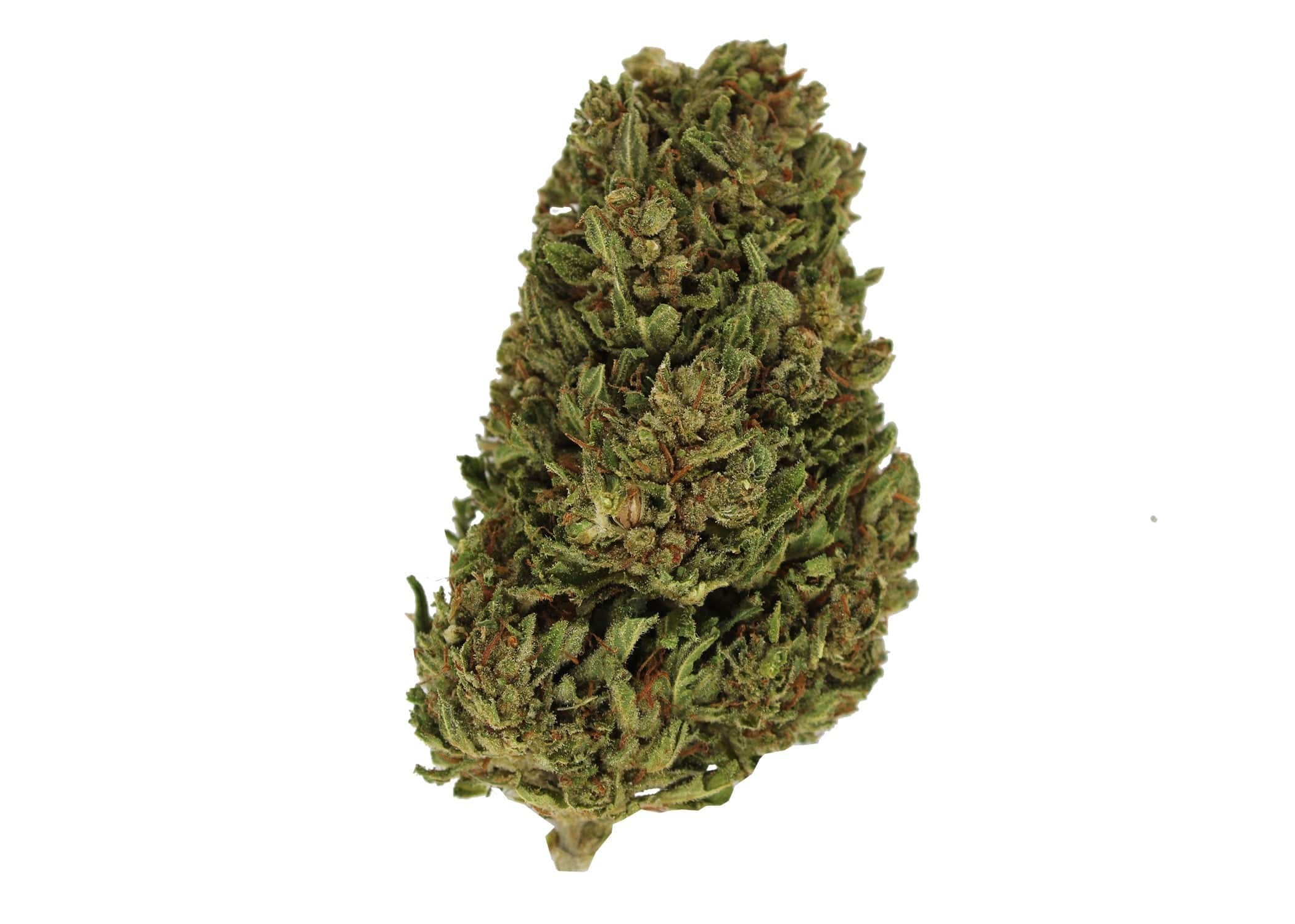 best delta 8 flower wholesale