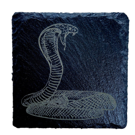 Cobra Slate Coaster
