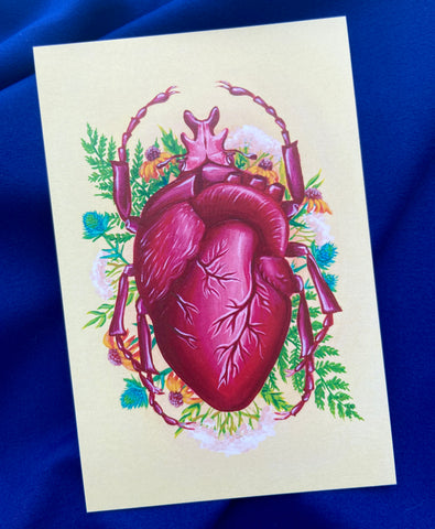 heart beetle art print