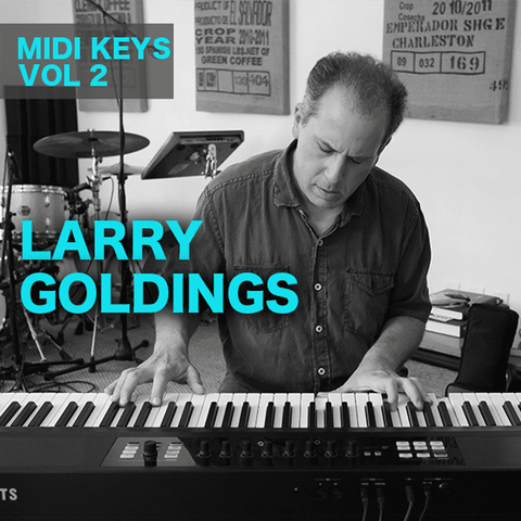 Larry Goldings Midi Keyboard Loops The Loop Loft [ 480 x 480 Pixel ]