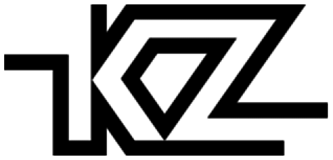 Kz Zs10 Pro Linsoul Audio