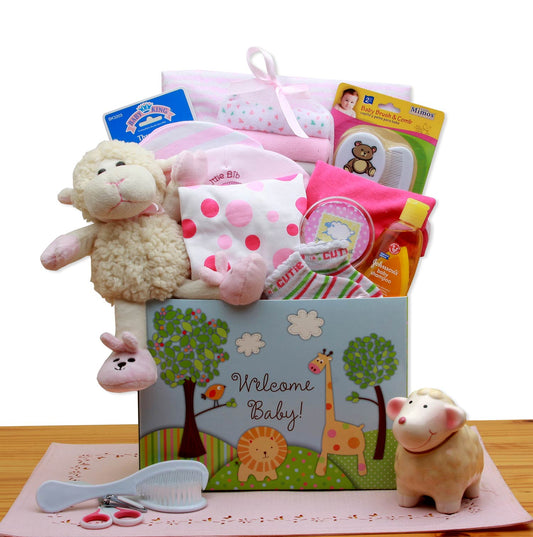 Welcome New Baby Gift Box - Pink, Gift Baskets Drop Shipping - A Blissfully Beautiful Boutique