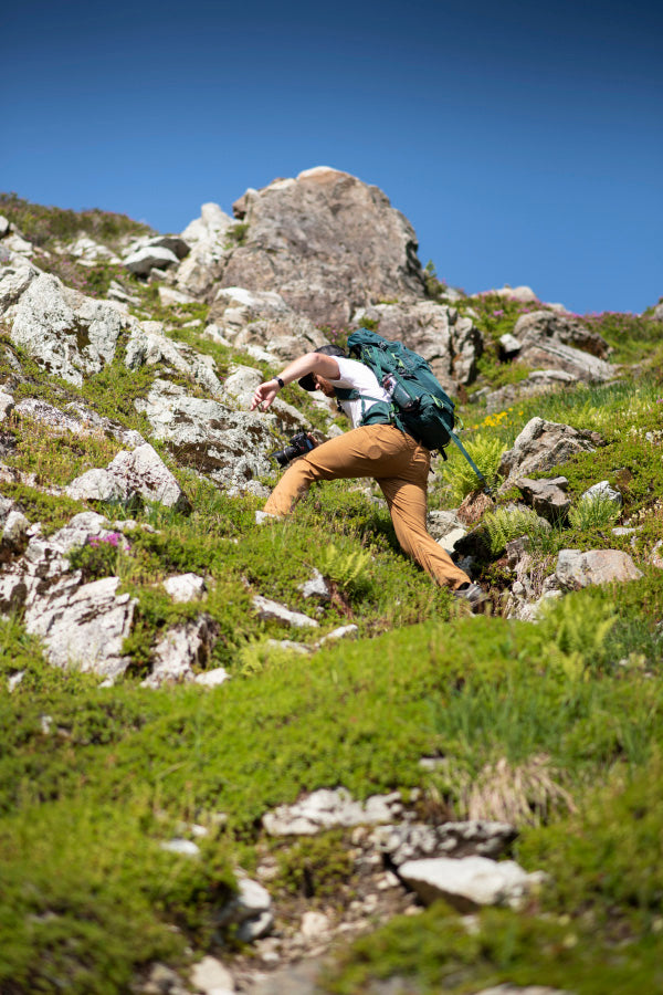 mount forgotten hike