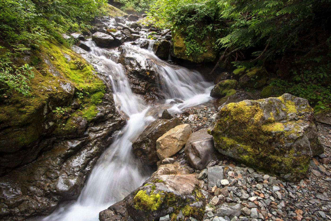 perry creek trail hike