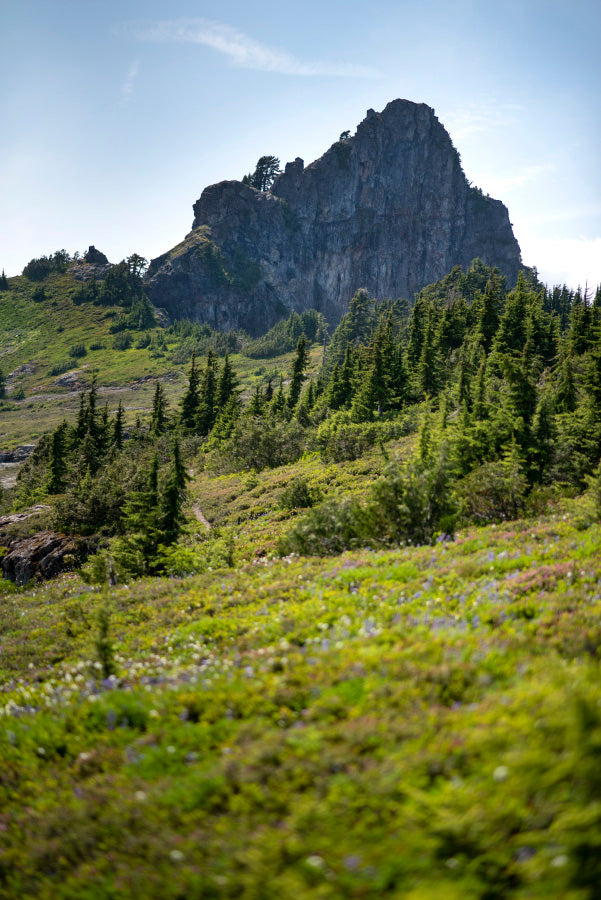 mount forgotten hike