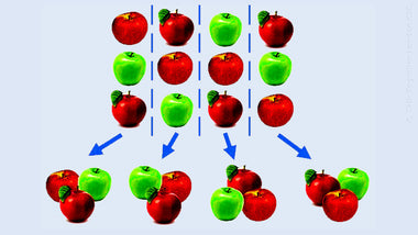 TTLCIC - division by grouping