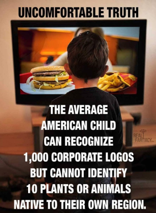 Image:  Diaspora - Influence of corporate logos