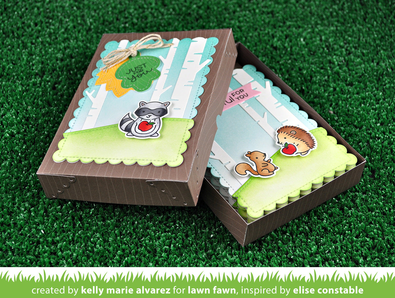 Lawn Fawn Gift Box  ̹ ˻