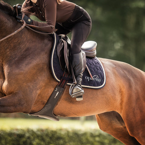 Magnetic safety stirrups can prevent losing your stirrup