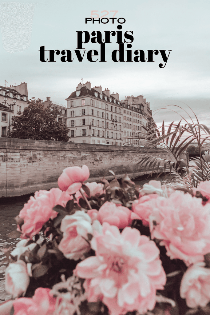 Paris travel diary
