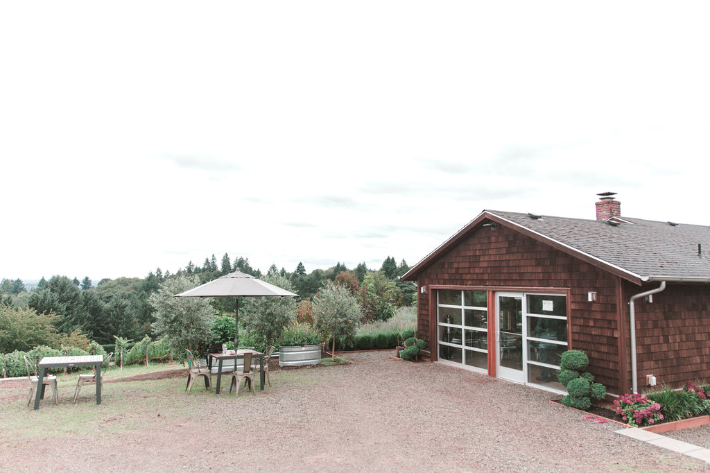 Best wineries in Willamette Valley