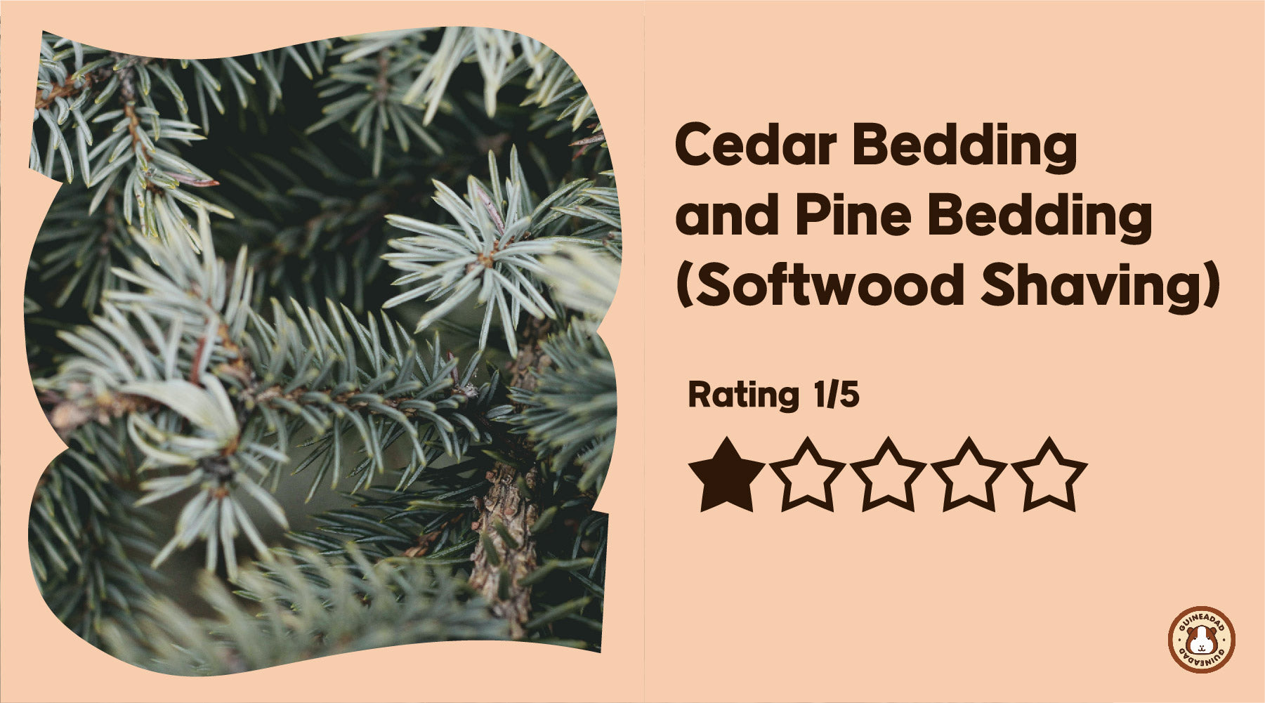 Cedar Bedding  and Pine Bedding  (Softwood Shaving)