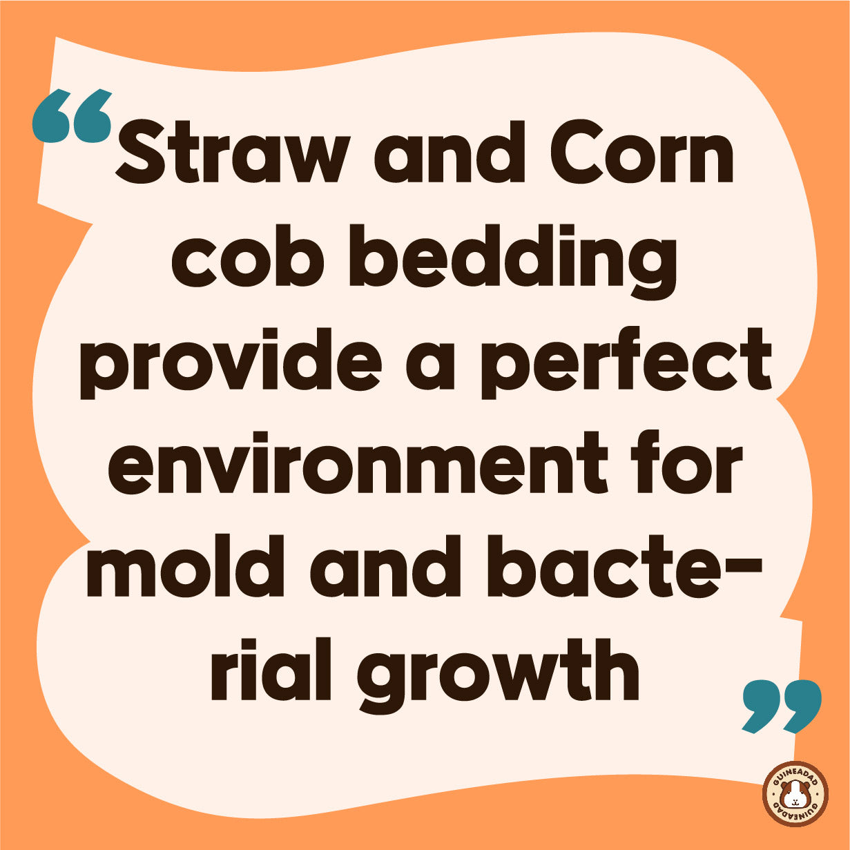 Straw and Corn cob bedding provide a perfect environment for mold and bacterial growth