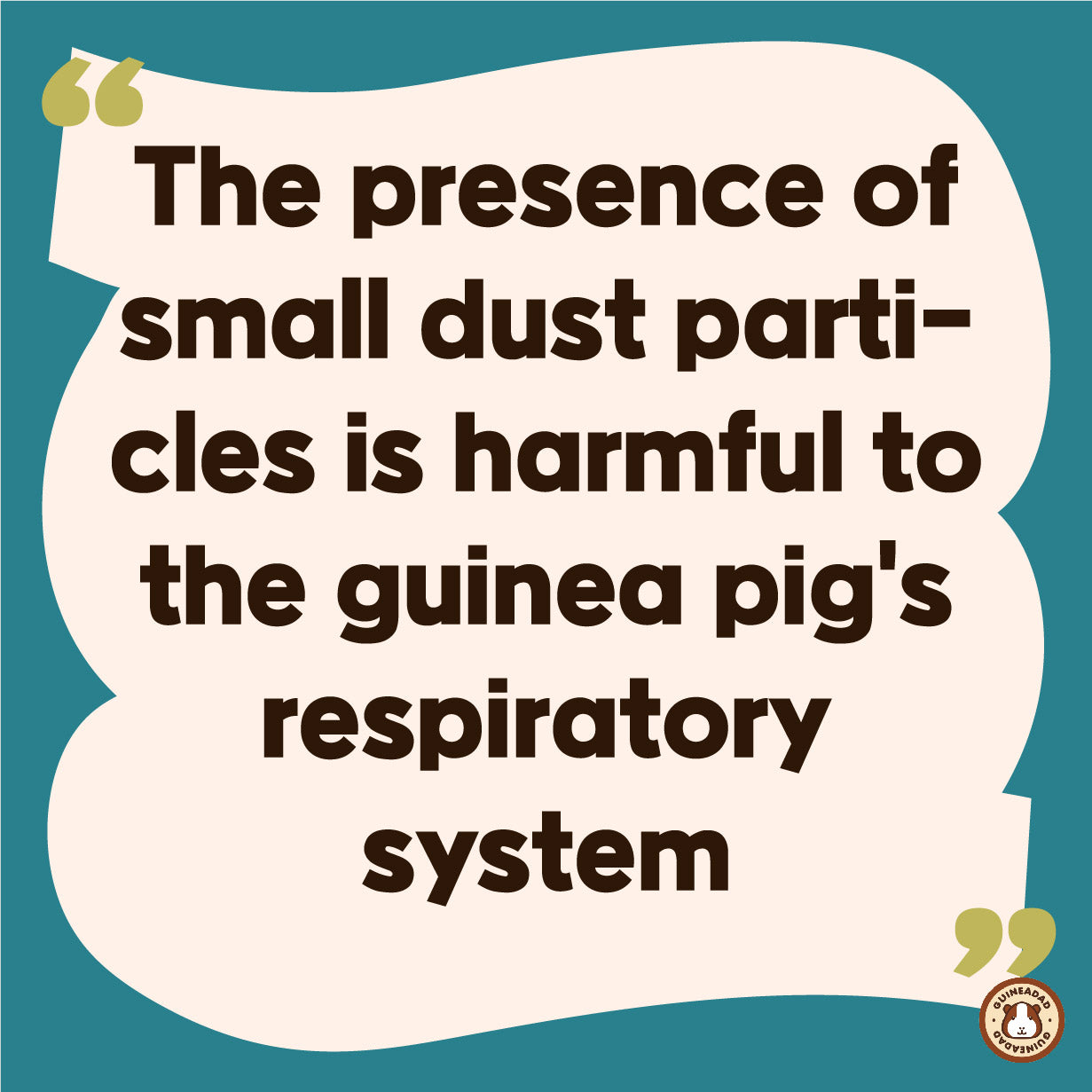 The presence of small dust particles is harmful to the guinea pig's respiratory system