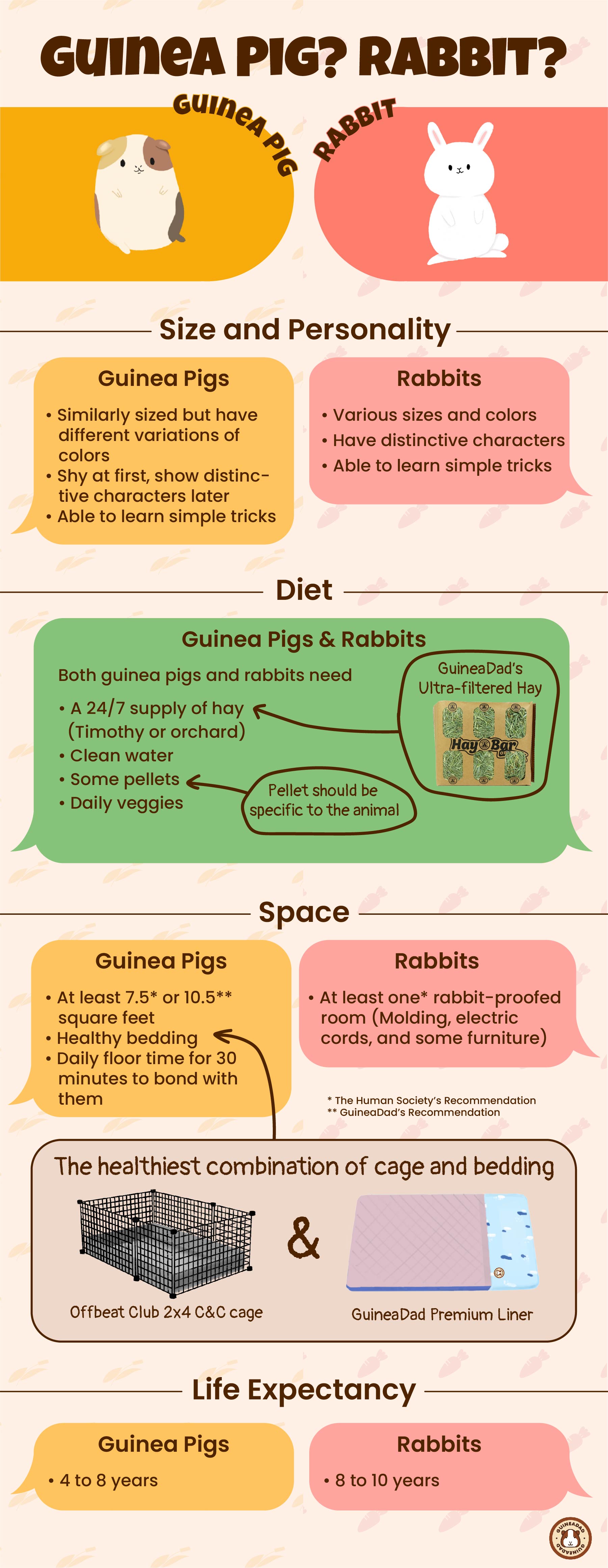Guinea Pig VS. Rabbit Which Pet Should I Get? Infographic1