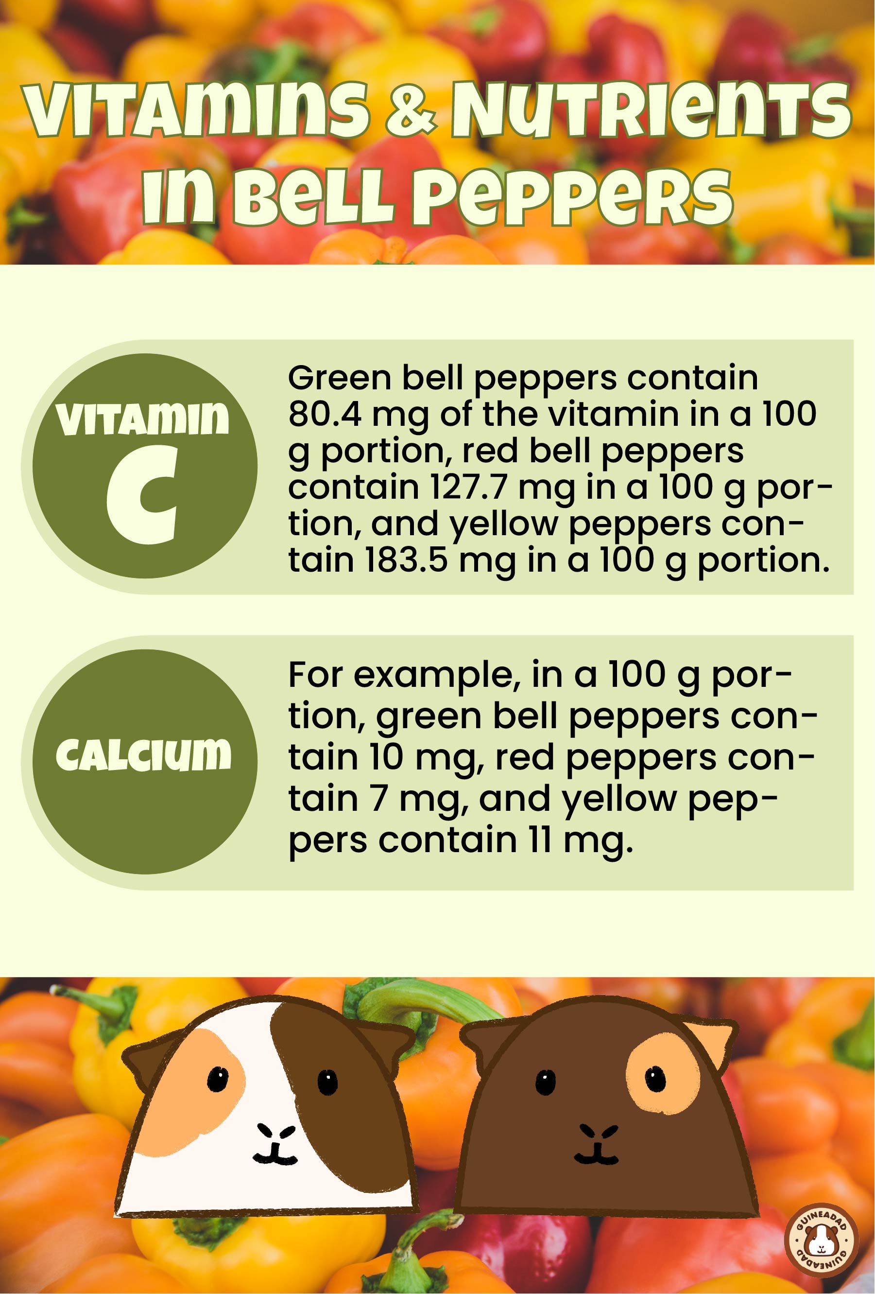 Infographic displaying the vitamins and nutrients in bell peppers