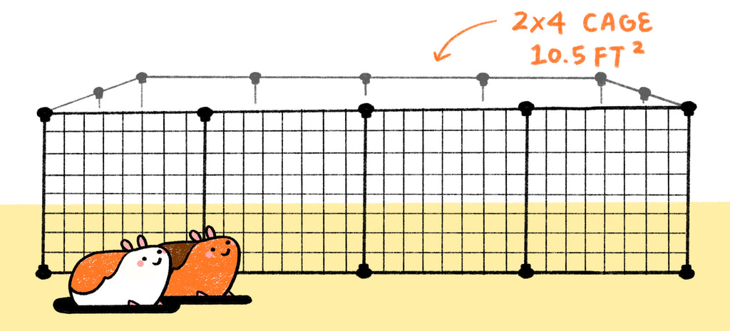 recommended guinea pig cage size