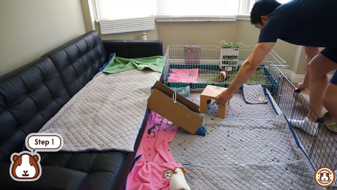 Learn how to wash your guinea pig fleece liner from GuineaDad!